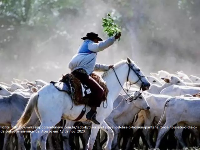 Dia do Pantanal: Cavalgadas são aventura certa para viver um pouco da  cultura do homem pantaneiro – Turismo MS