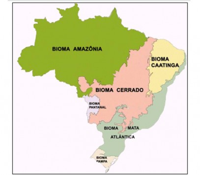 Biomas brasileiros - Planos de aula - 4°ano - Geografia