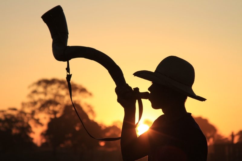 Peão tocando a boiada - Mato Grosso